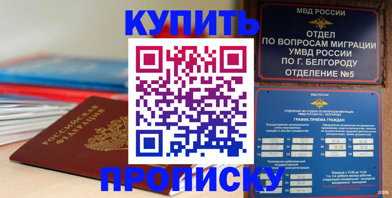 прописка для работы в Фролово